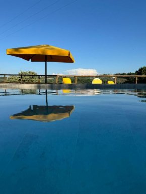 Quinta da Xistosa - Wonderland X